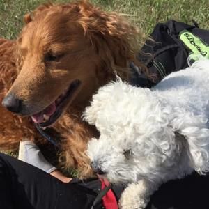 Meet your Posher, Kris